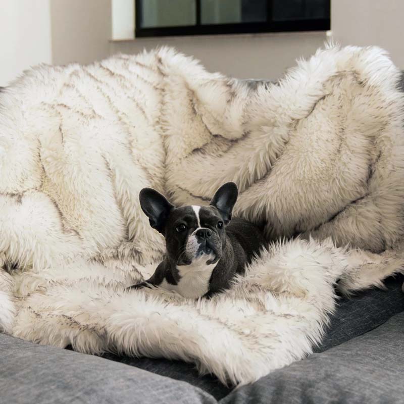 Luxury Waterproof Pet Blanket - CozyPaw™-White/brown-29.53″ × 39.37″-Nora Luxe
