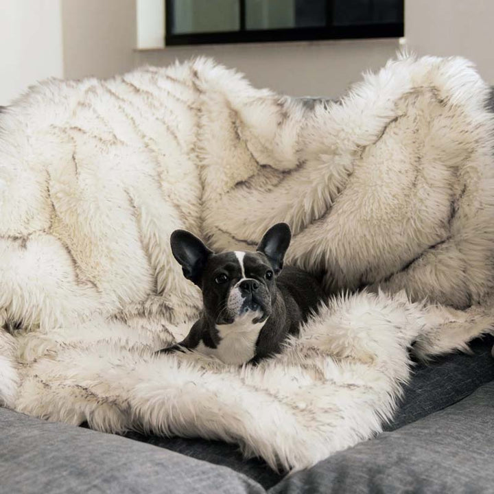 Luxury Waterproof Pet Blanket - CozyPaw™-White/brown-29.53″ × 39.37″-Nora Luxe