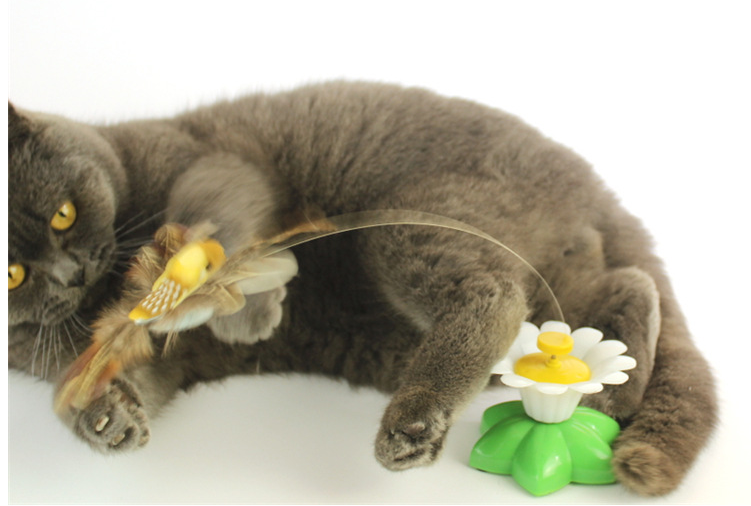 Moving Cat Toy - FlutterPaw-Butterfly-Nora Luxe