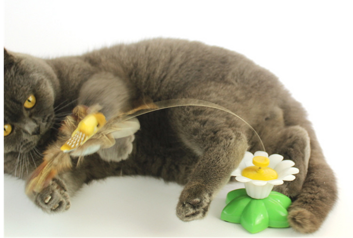 Moving Cat Toy - FlutterPaw-Butterfly-Nora Luxe