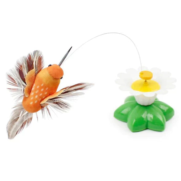 Moving Cat Toy - FlutterPaw-Hummingbird-Nora Luxe