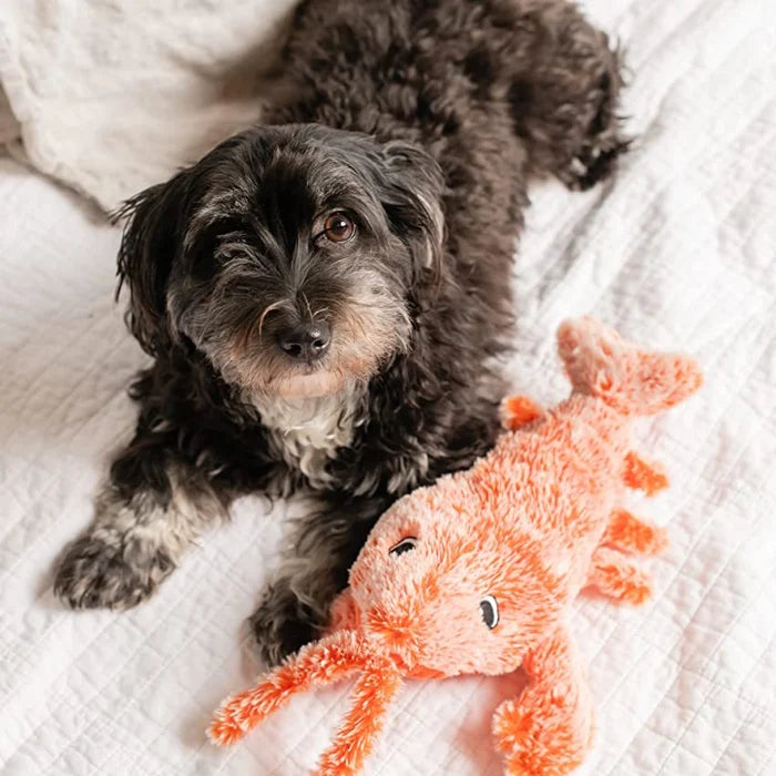 Moving Dog Toy with Motion Sensor - PlayPal-Lobster-Nora Luxe