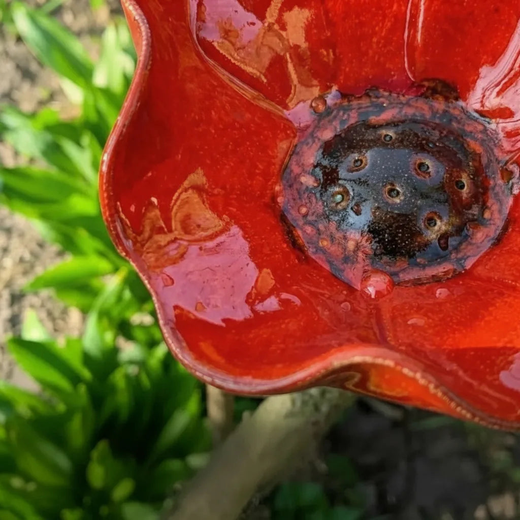 Detail of the glossy red petal bowl with a dark speckled center and water droplets.
