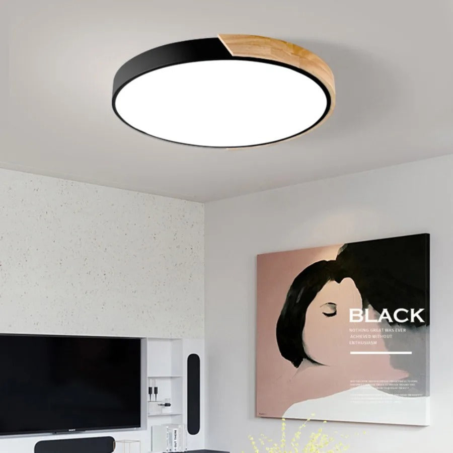 Black round ceiling light with a wood segment, shown again in the living room beside a framed portrait and TV.