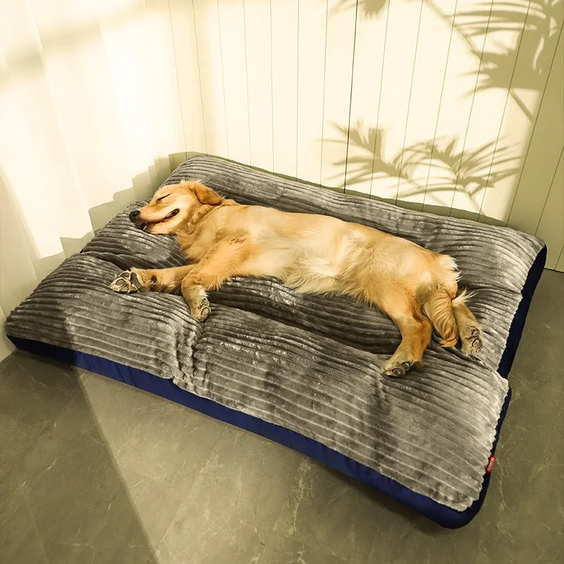 Orthopaedic Dog Bed with Removable Cover - SnuggleRest-Gray-L-Nora Luxe
