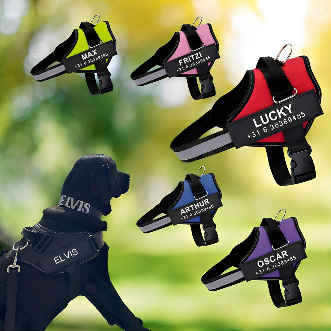 Collage of five personalized harnesses in lime, pink, red, blue and purple, beside a black dog wearing one outdoors.