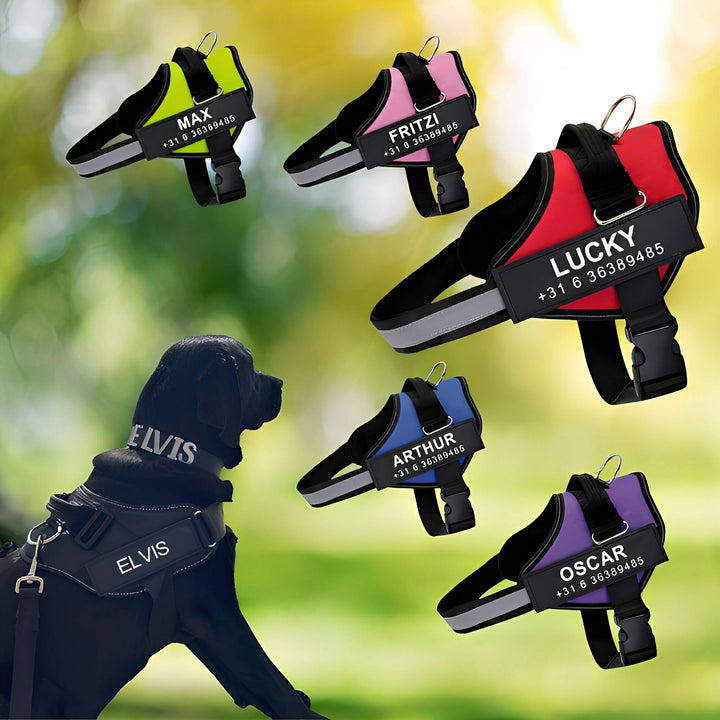Collage of five personalized harnesses in lime, pink, red, blue and purple, beside a black dog wearing one outdoors.
