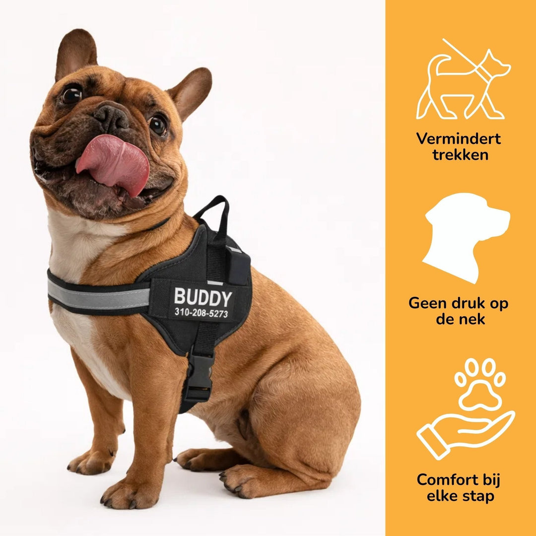 French bulldog wearing a black harness with a reflective strap next to icons about comfort.