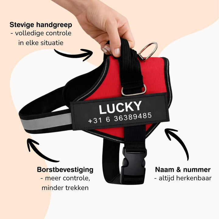 Hand holding a red harness by its padded handle, with callouts for the handle, chest attachment and personalized name and number patch.