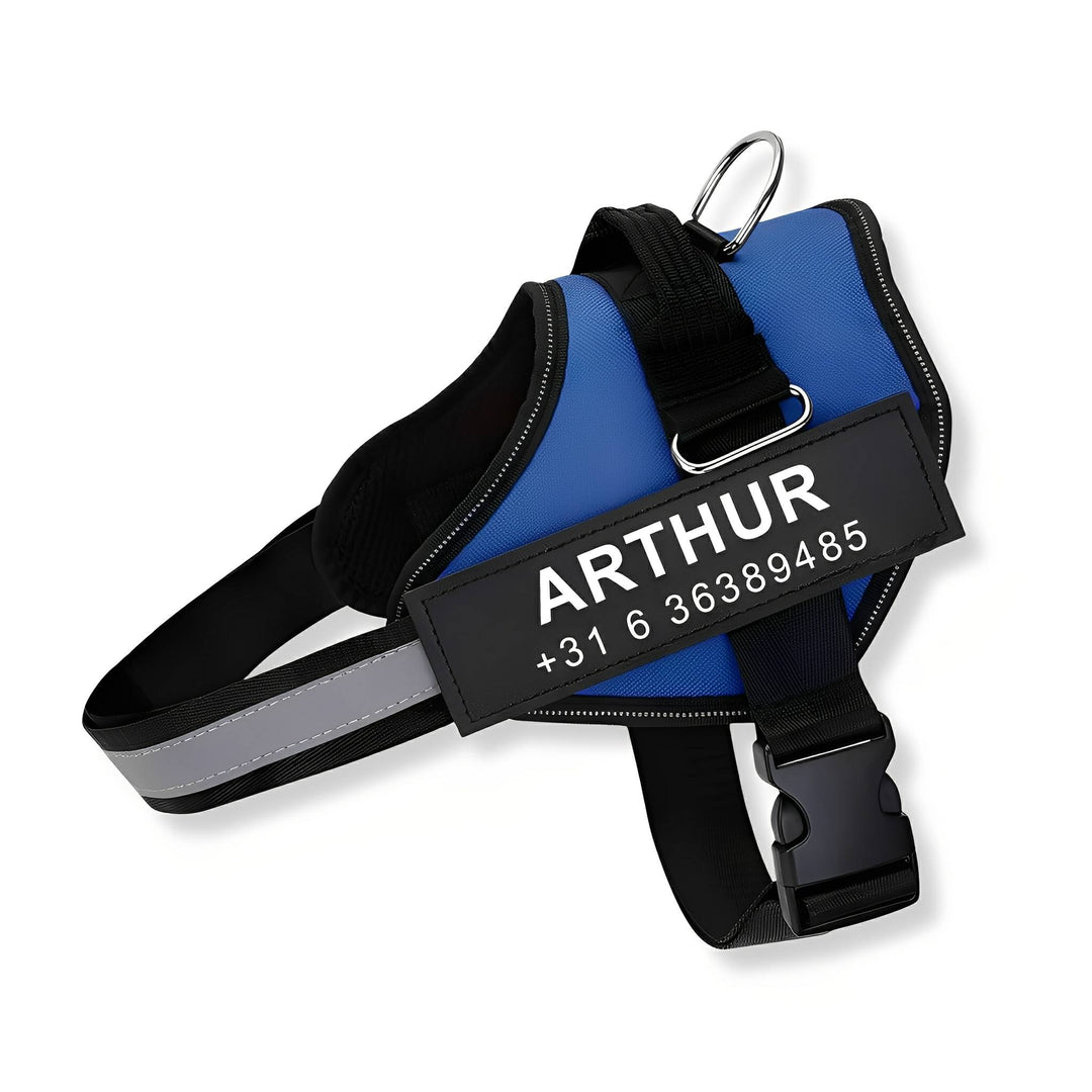 Blue harness on a white background with a personalized name and number patch, reflective strap, metal leash ring and plastic buckle.