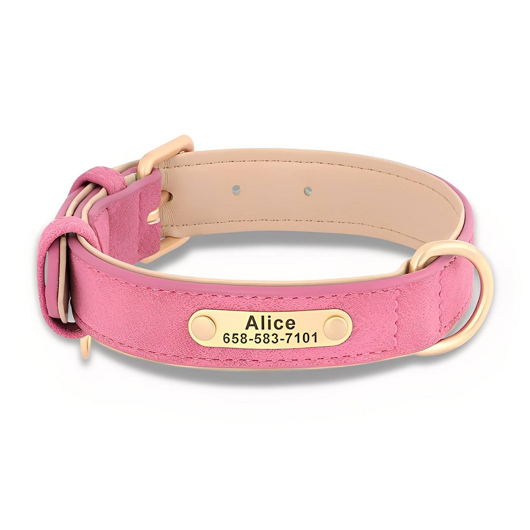 Pink leather collar with soft beige padded lining, matte gold buckle and D-ring, and an engraved nameplate, shown on white. 12