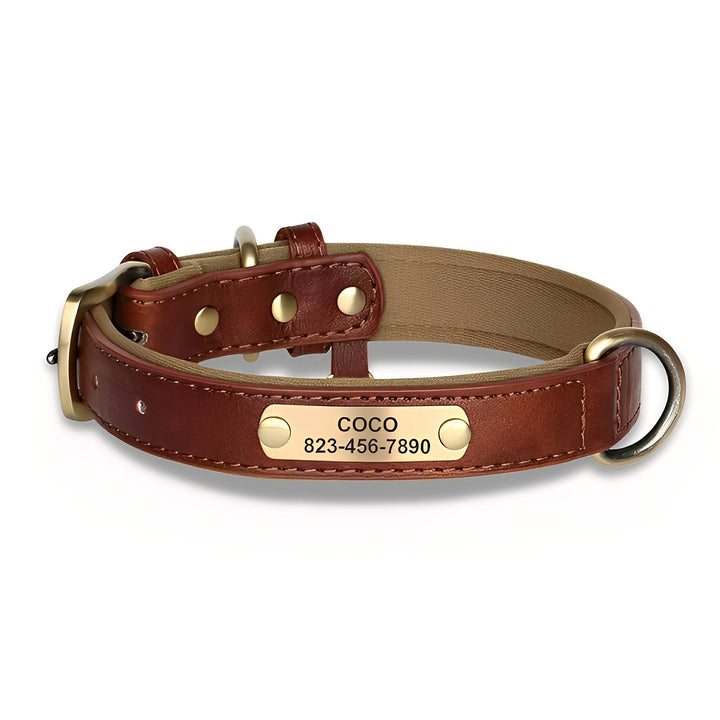 Brown leather collar with tan padded lining, brass buckle, D-ring, and riveted brass nameplate, shown on a white background. 9
