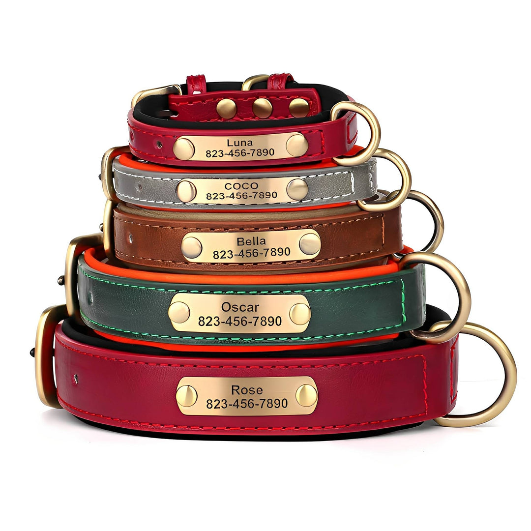 Five leather collars stacked from smallest to largest in red, gray, brown, green, and red, each with an engraved brass nameplate. 4