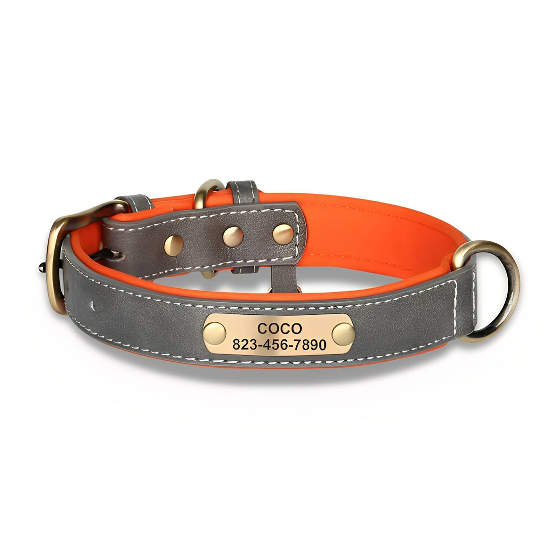 Gray leather collar with white contrast stitching, orange padded lining, brass buckle, D-ring, and a riveted brass nameplate on white. 11