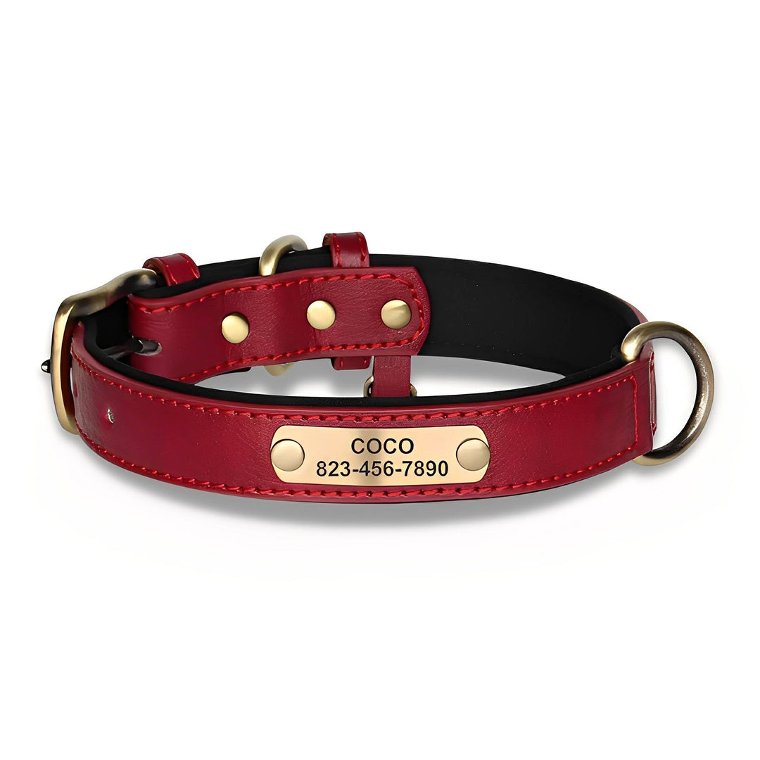 Red leather collar with black padded lining, brass buckle, D-ring, and riveted brass nameplate, shown on a white background. 8