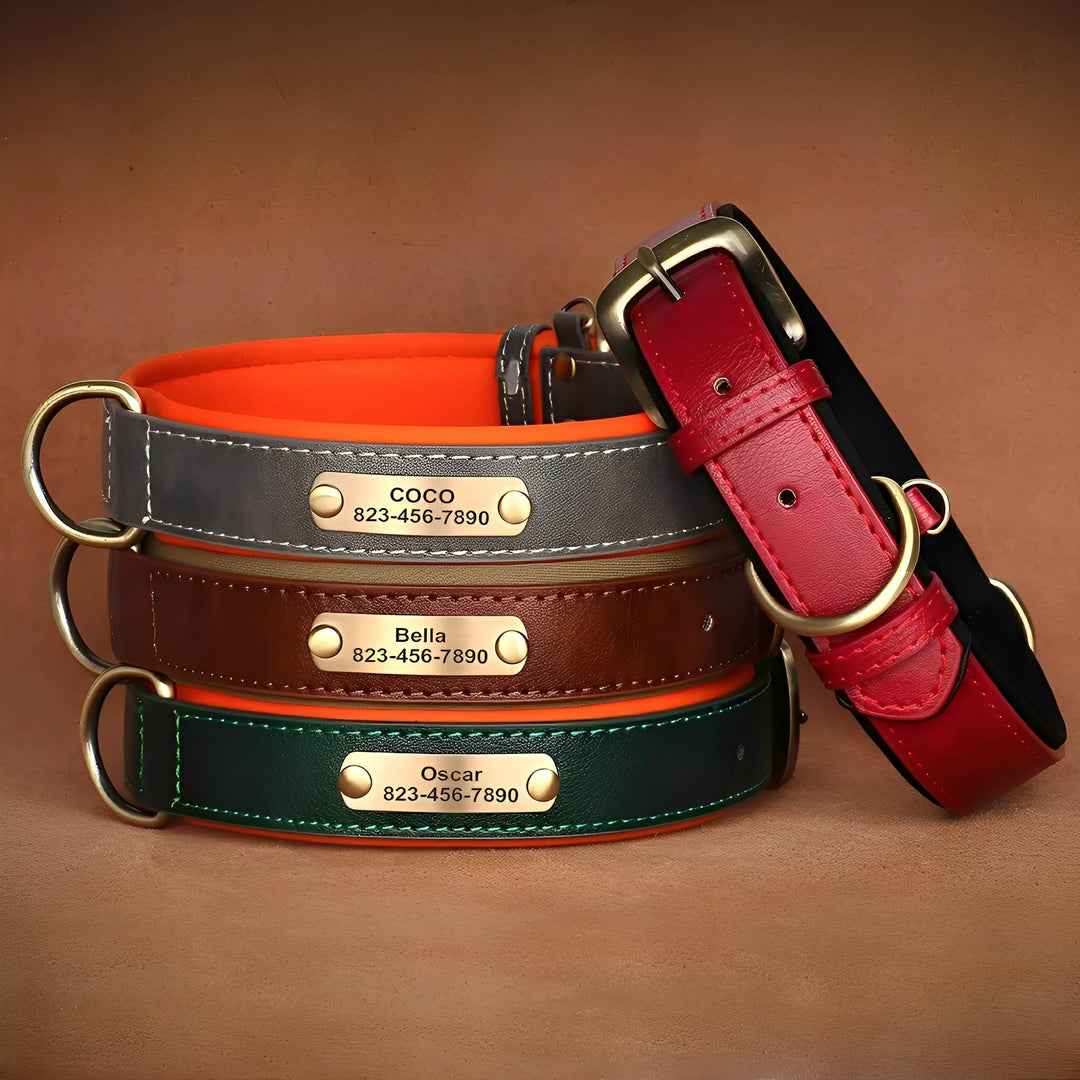 Stack of gray, brown, and green leather collars with orange padding and brass nameplates, leaning beside a red collar with its buckle showing. 2