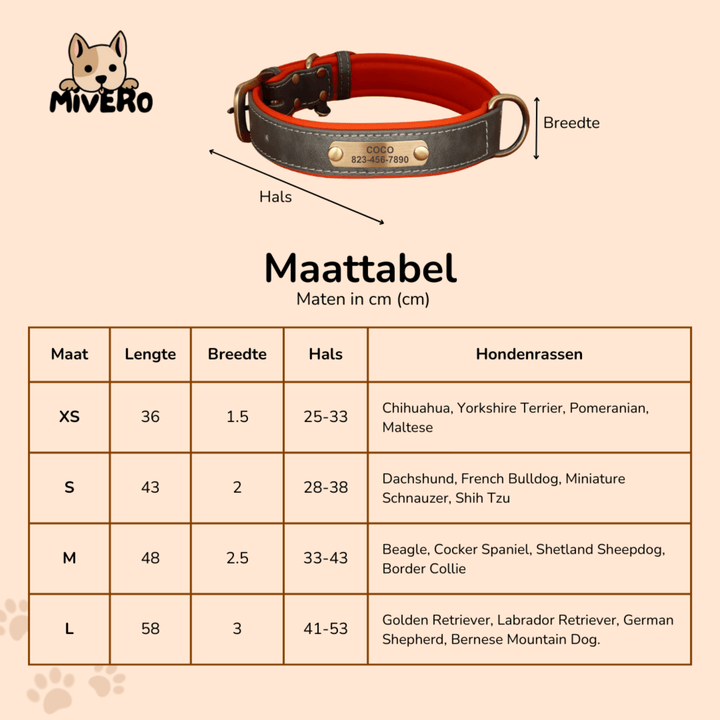 Sizing chart with a gray and orange collar diagram, labeling length, width, and neck measurements for four sizes alongside example dog breeds. 6
