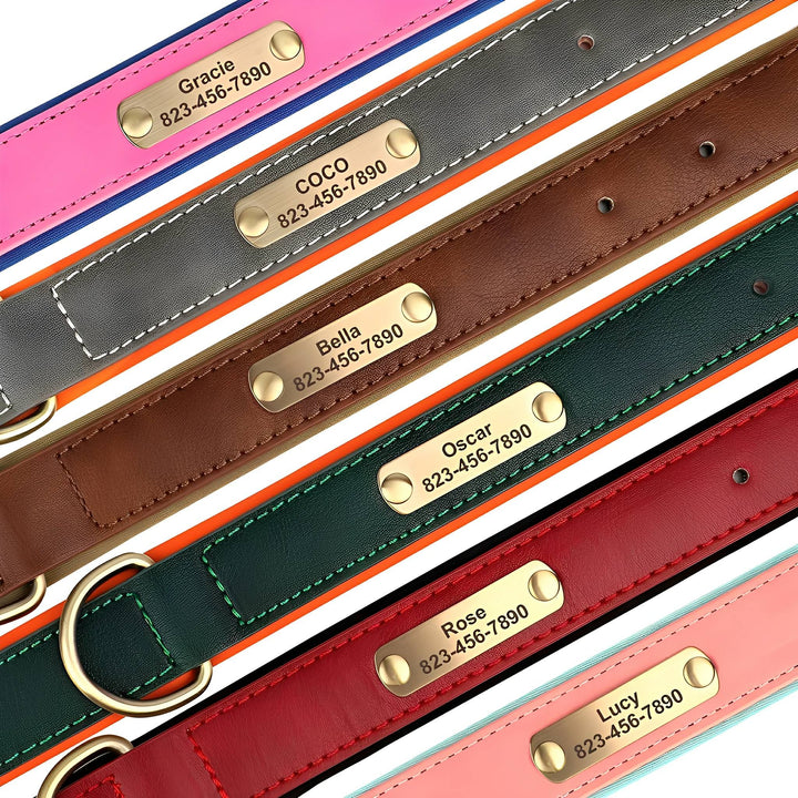 Overhead view of seven collars laid side by side in pink, gray, brown, green, red, and peach, each with a riveted brass nameplate. 5