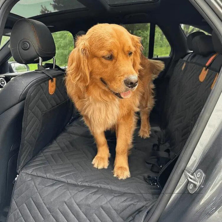 Black dog back seat extender with a golden retriever standing on it in a rear seat