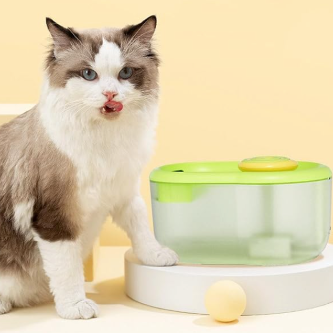 Pet Water Drinking Bowl with Pump - FunFlow-Green-Nora Luxe