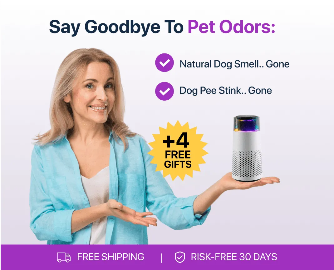 PetFresh Animal Scent Humidifier-Black-Nora Luxe