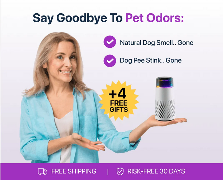 PetFresh Animal Scent Humidifier-Black-Nora Luxe