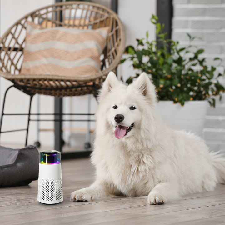 PetFresh Animal Scent Humidifier-Black-Nora Luxe