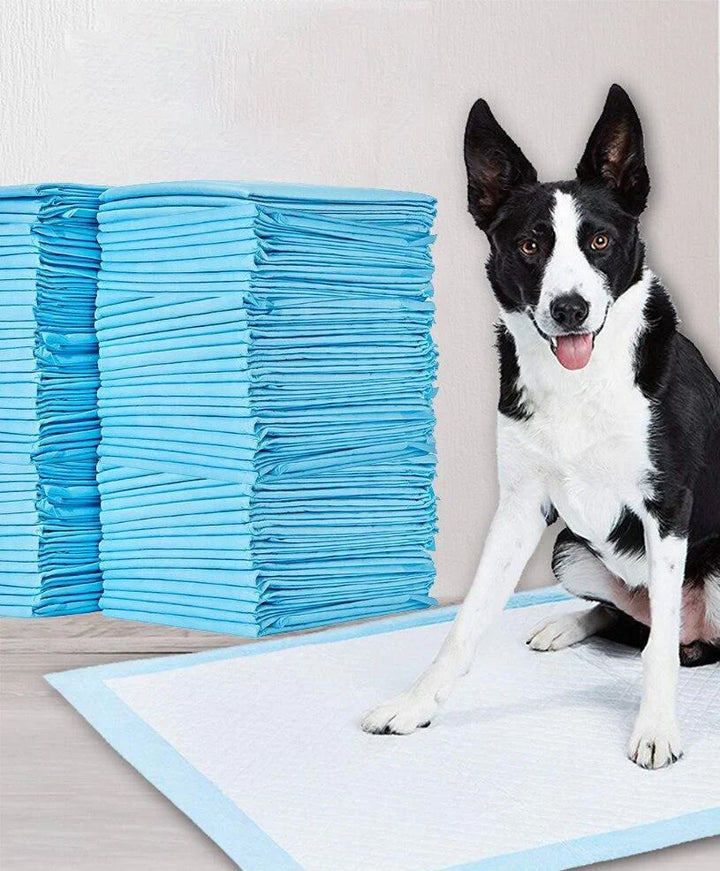 Potty Training Mats - PeeMaster Pads-Nora Luxe