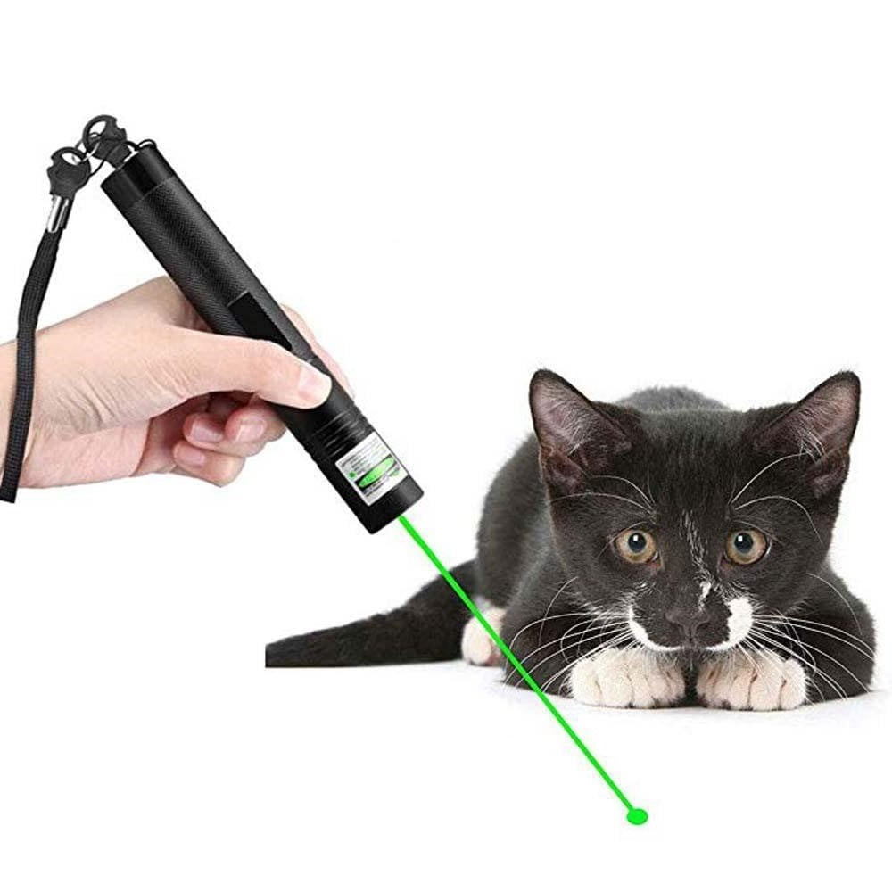 Powerful Laser Pointer - PrecisionBeam-Green-Nora Luxe