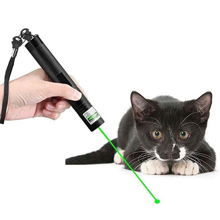 Powerful Laser Pointer - PrecisionBeam-Green-Nora Luxe
