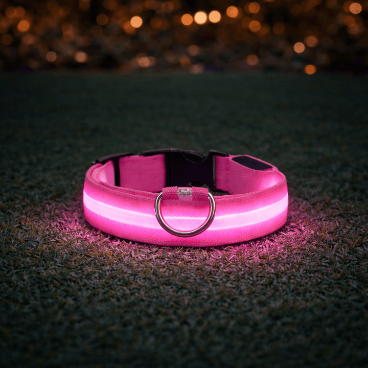 Pink collar glowing on dark grass at night, casting pink light on the blades around it 7
