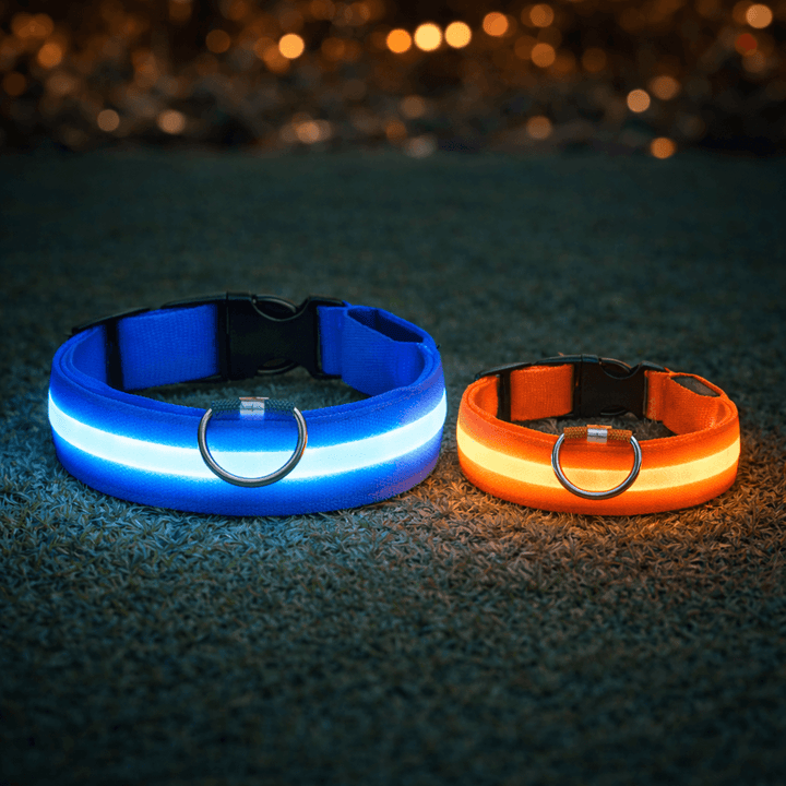 Large blue and smaller orange collars glowing side by side on grass at night, comparing sizes 6
