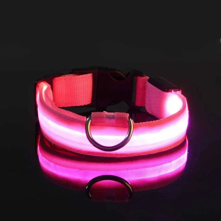 Pink collar lit up against a dark background, showing the glowing strip, D-ring and buckle 5