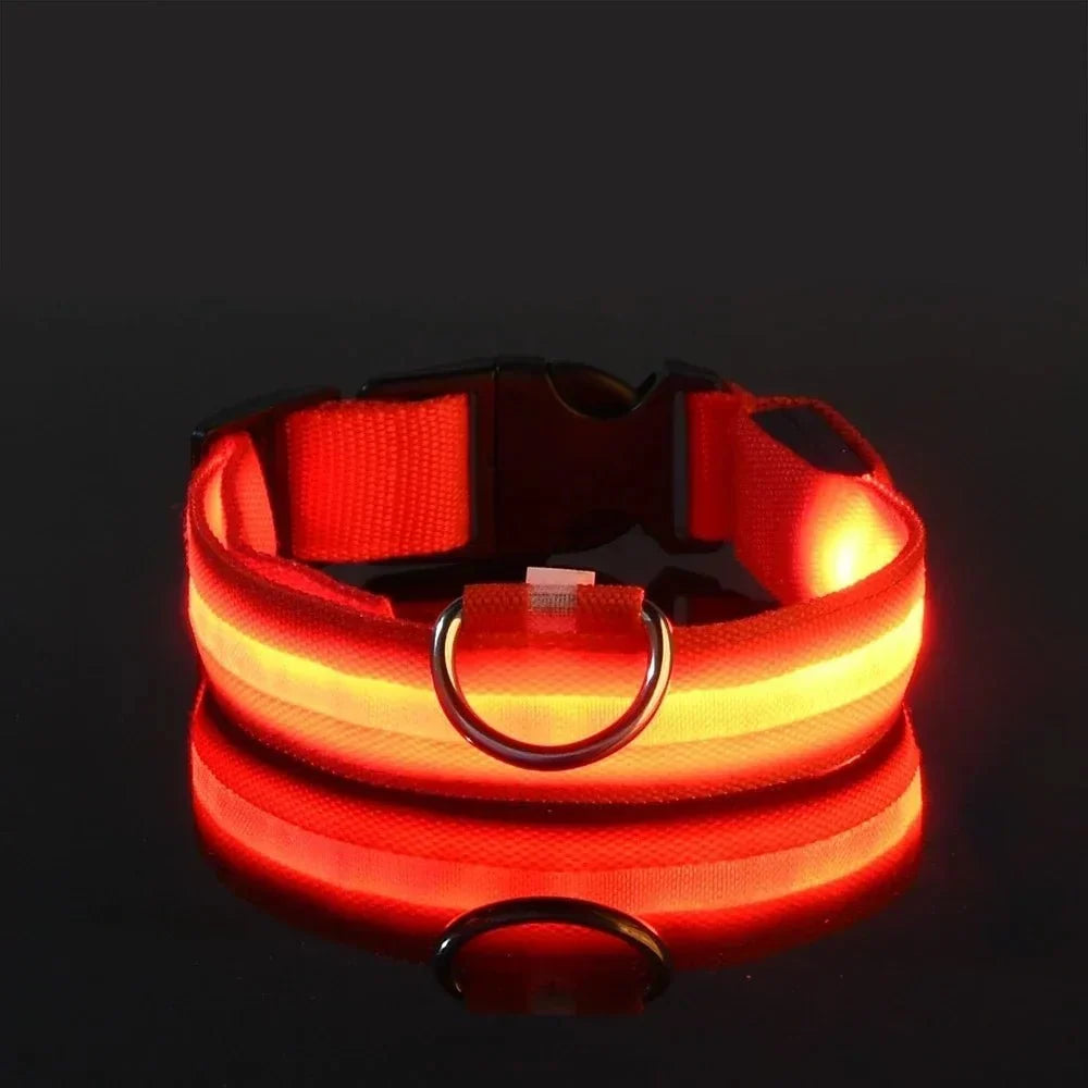 Orange collar glowing against a black background, with the D-ring, buckle and light strip reflected below 8