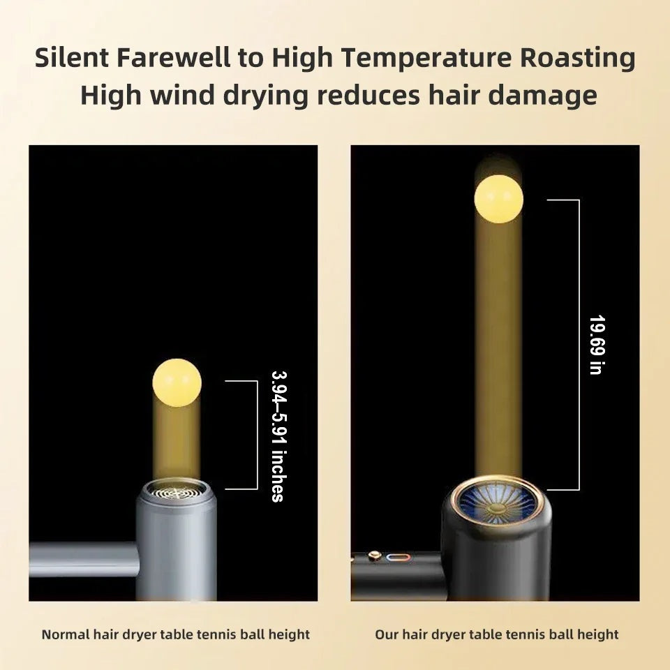 PROFESSIONAL HAIRDRYER 2400W WITH COLD AND HOT AIR - NEGATIVE IONS - POWERFUL HAIR DRYER FOR SALON RESULTS-Black-Nora Luxe