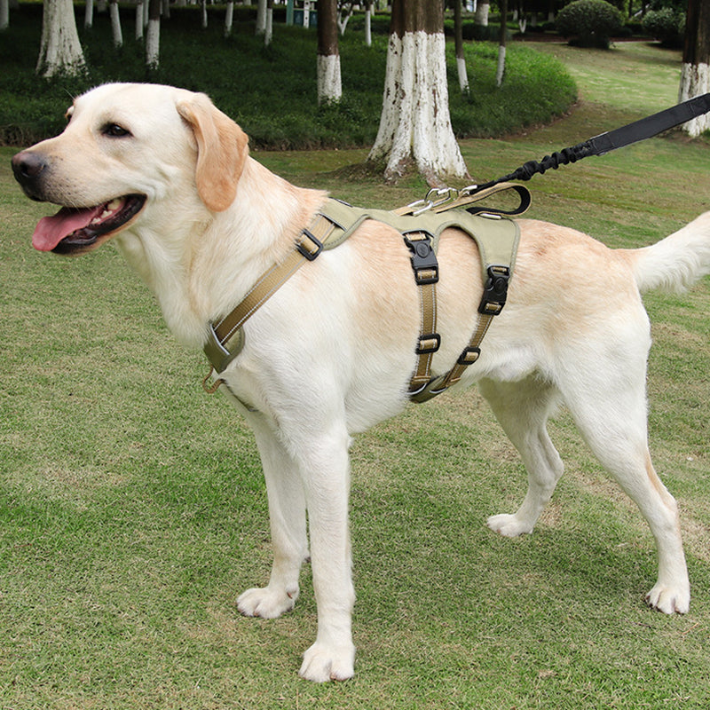 Reflective Anti-Pull Dog Harness - GripGuard-Khaki-S-Nora Luxe