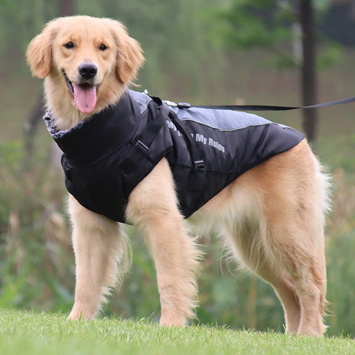 Reflective Dog Jacket with Harness - GlowPaw™-Gray-S-Nora Luxe