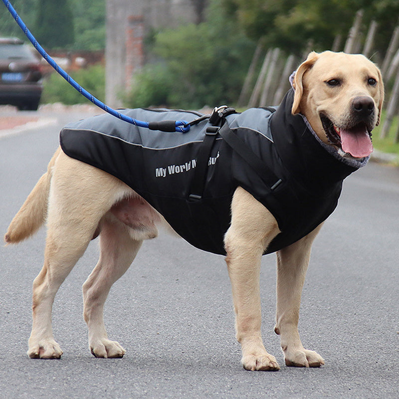 Reflective Dog Jacket with Harness - GlowPaw™-Gray-S-Nora Luxe