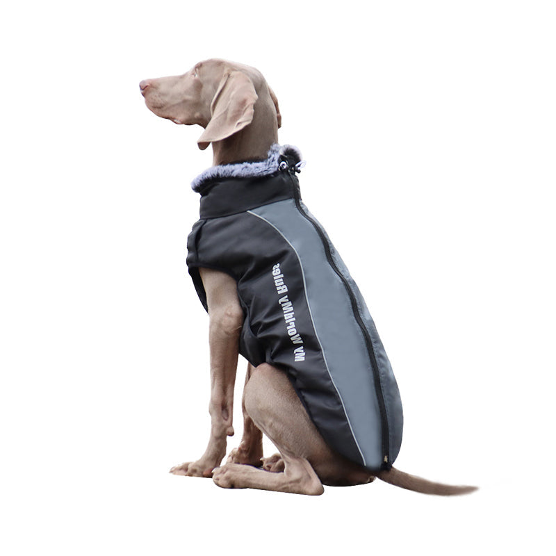 Reflective Dog Jacket with Harness - GlowPaw™-Gray-S-Nora Luxe