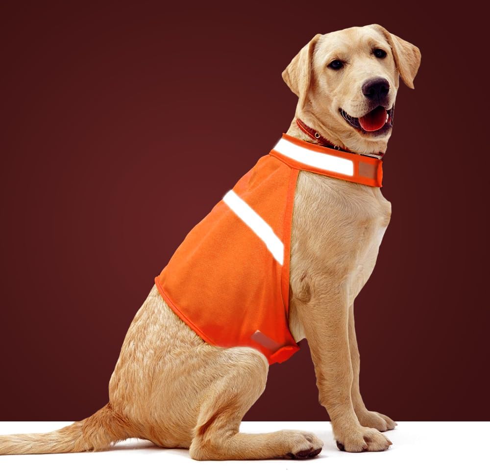 Reflective Dog Vest - Safety Vest with High Visibility-S-Nora Luxe