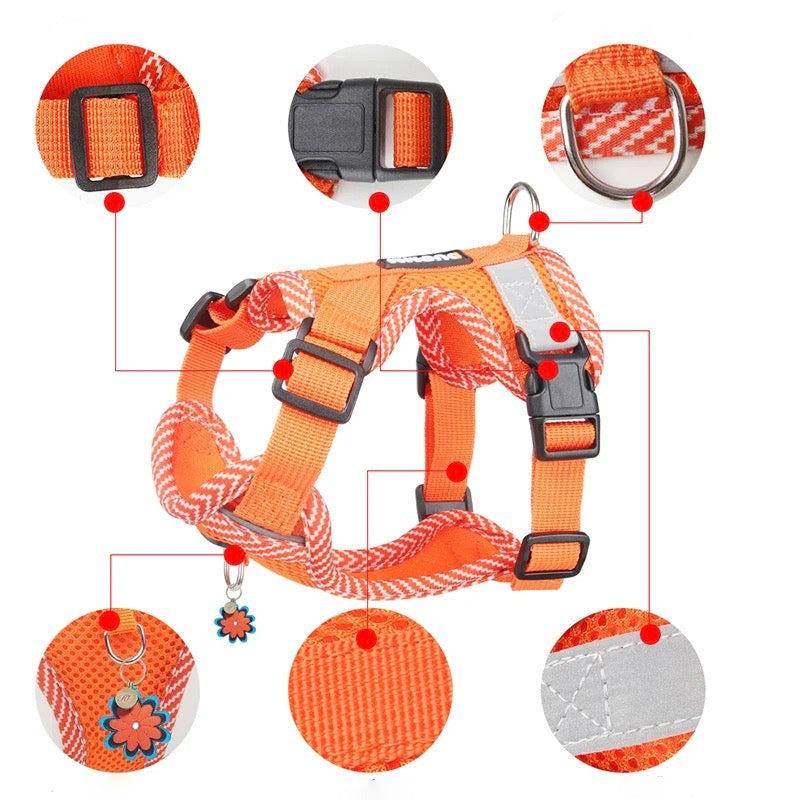 Reflective Harness and Leash Set for Small Dogs - AirFlex-Heavenly Blue-S-Nora Luxe