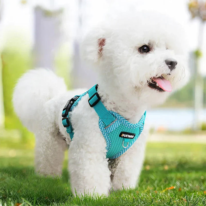 Reflective Harness and Leash Set for Small Dogs - AirFlex-Heavenly Blue-S-Nora Luxe