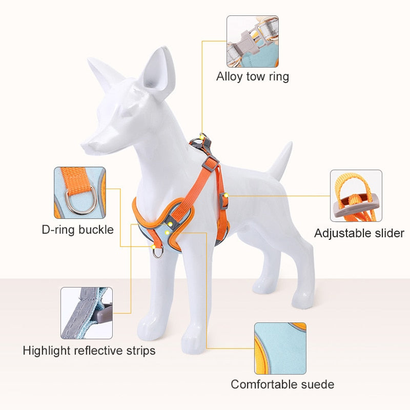 Reflective Puppy Harness - BrightPaw-Blue-S(5.51-8.82 lbs)-Nora Luxe