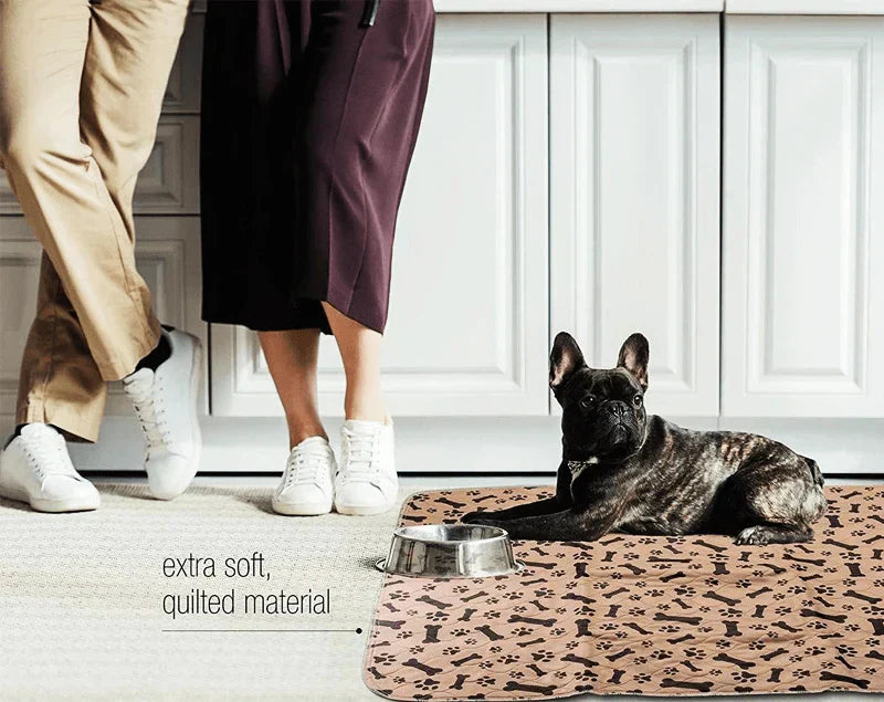Reusable Plasma for Dogs - EcoPad-Coffee-Bone-Paw-15.7 5 x 23.62 inches-Nora Luxe