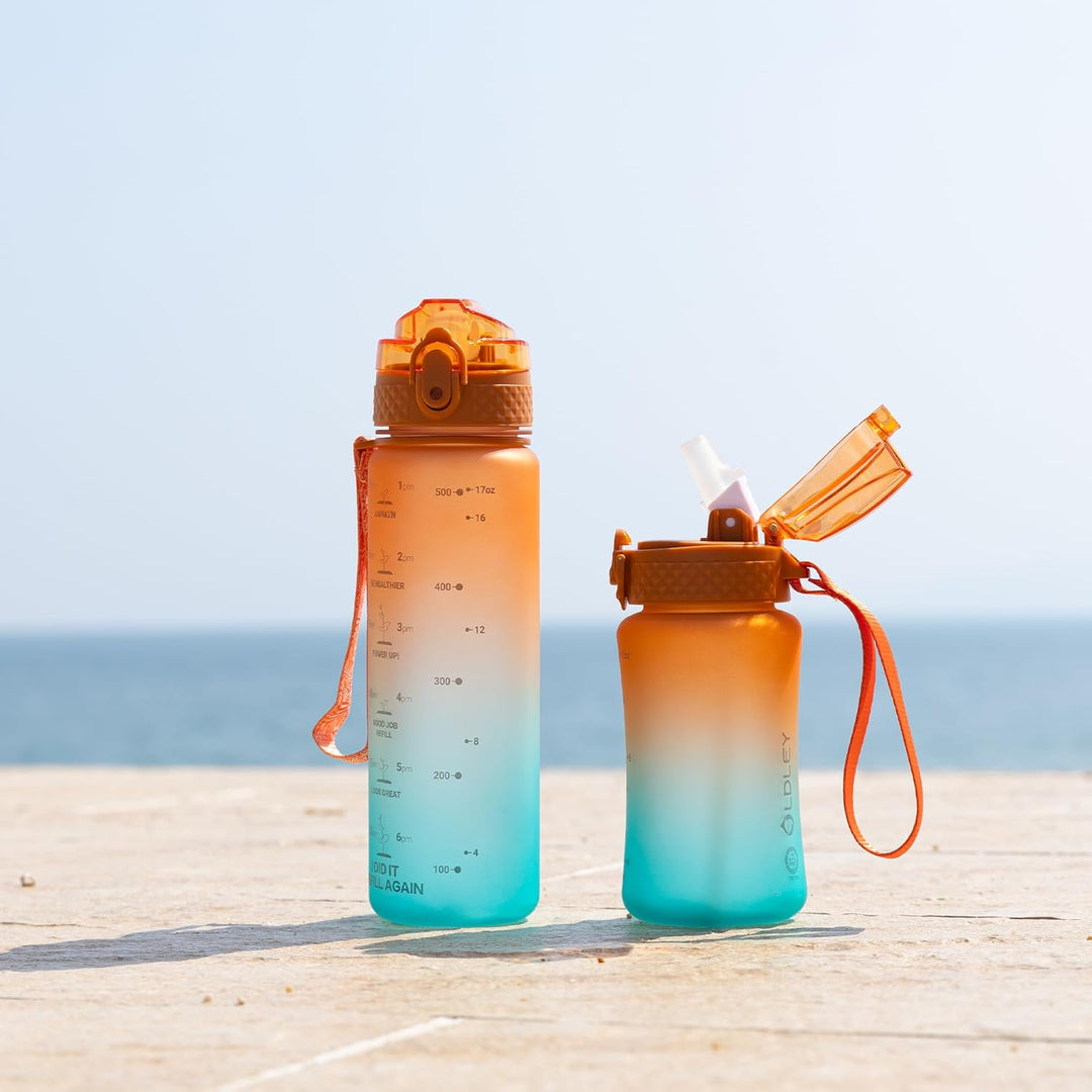Reusable Tritan plastic water bottle with straw & chug lids-350 ml-Gray-Nora Luxe