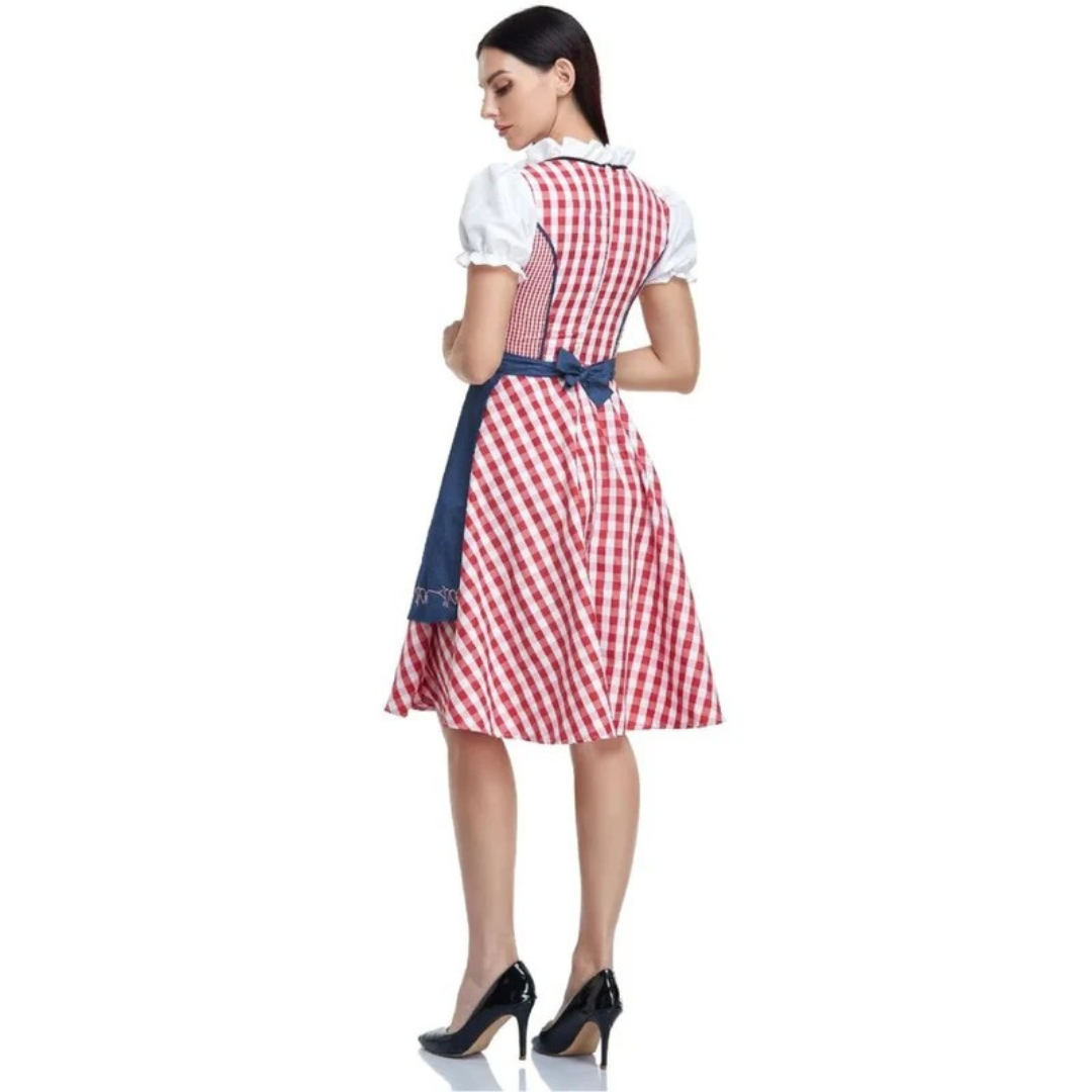 Red gingham dirndl with blue apron tied in a bow at the waist, back view.