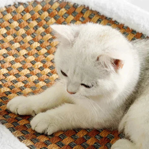 Scratching Post for Cats - PurrLuxe-Nora Luxe