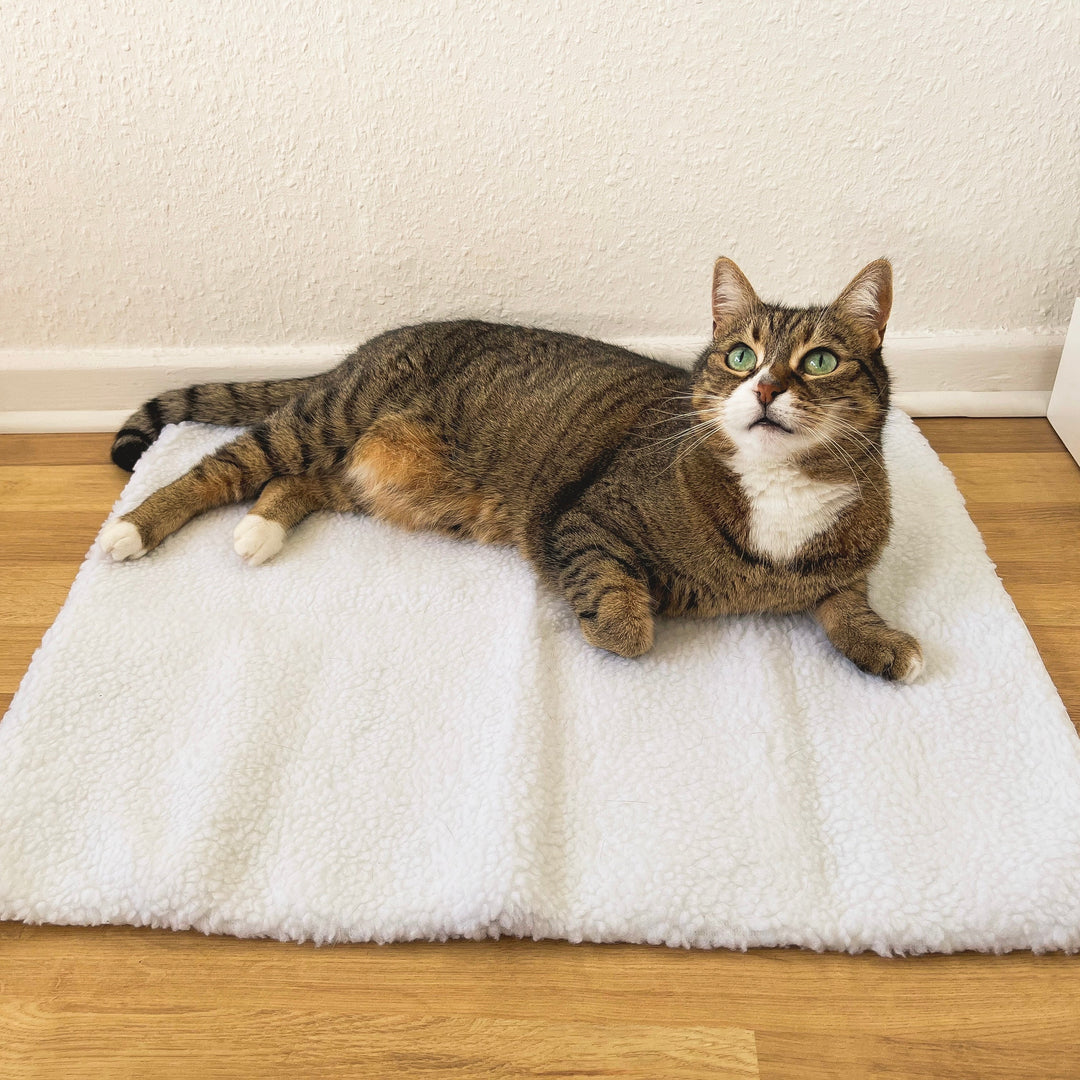 Self-Heating Cat Mat - WarmPurr™-Snow White - 23.62 in x 17.72 in-Nora Luxe
