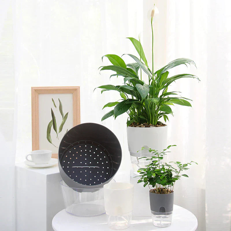 Self-Watering Plant Pot - AquaBloom-Gray-S-Nora Luxe