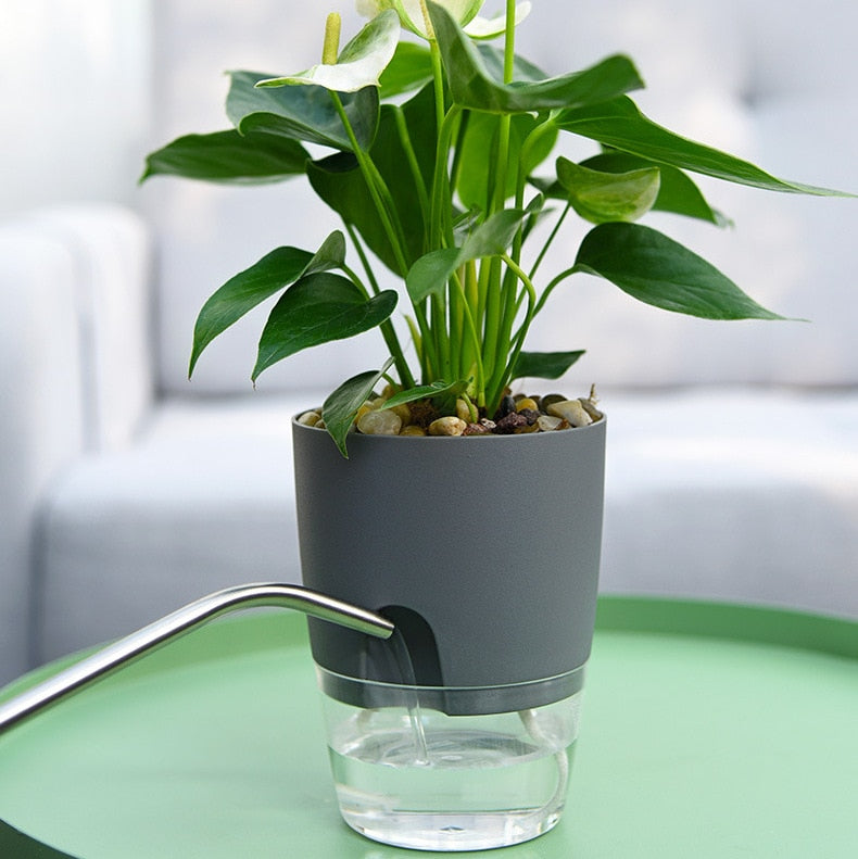 Self-Watering Plant Pot - AquaBloom-Gray-S-Nora Luxe